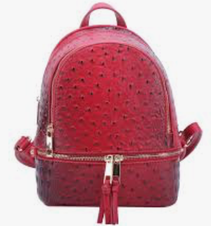 SMALL Red Purse --NO Wallet image 0